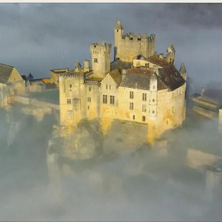 Апартаменты Duplex Vue Exceptionnel Sur La Dordogne Бейнак-э-Казенак